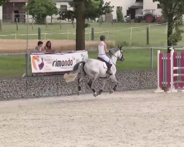 Reitturnier Ingolstadt-Hagau 2015
