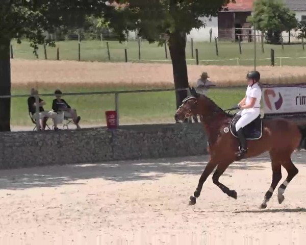Reitturnier Ingolstadt-Hagau 2015