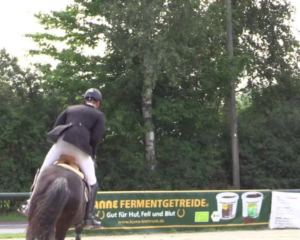 Reitturnier Herbern 2015