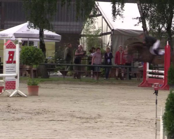 Reitturnier Herbern 2015