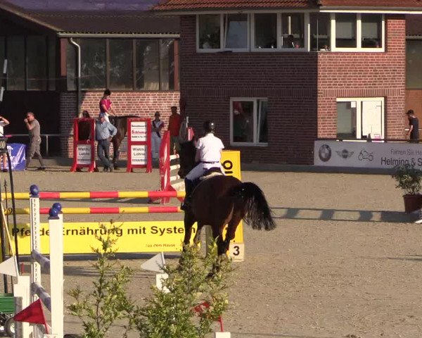 Euregioturnier Wietmarschen 2015