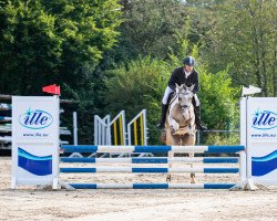 dressage horse World of Colours II GF (German Warmblood, 2017, from Weissgold GF)