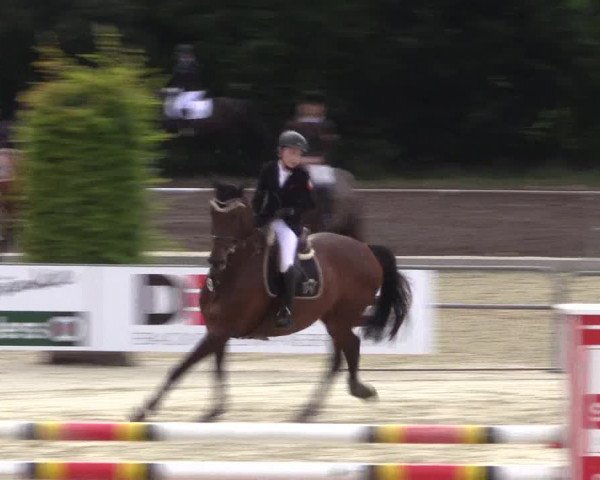Euregioturnier Wietmarschen 2015