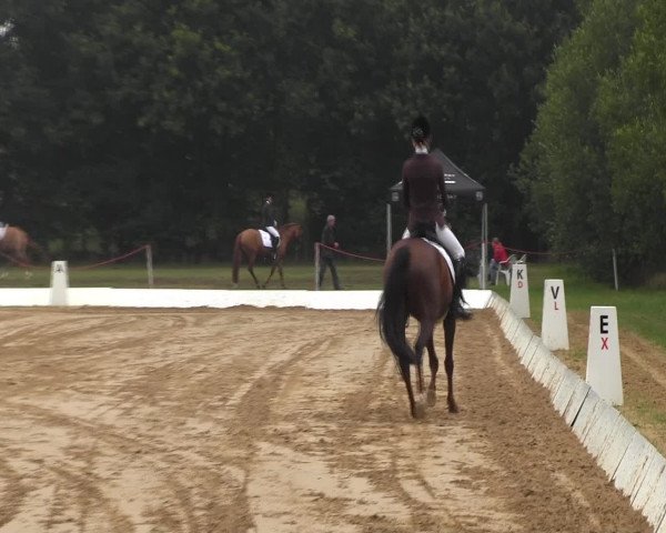 Euregioturnier Wietmarschen 2015