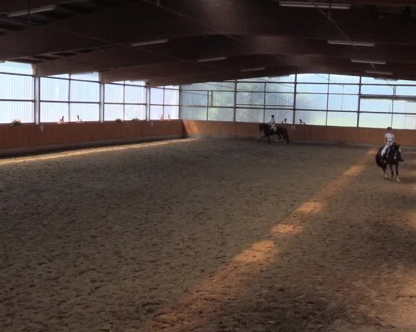 Reitturnier Herbern 2015