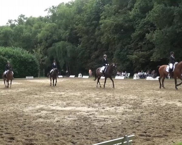 Reitturnier Viersen-Dülken 2015