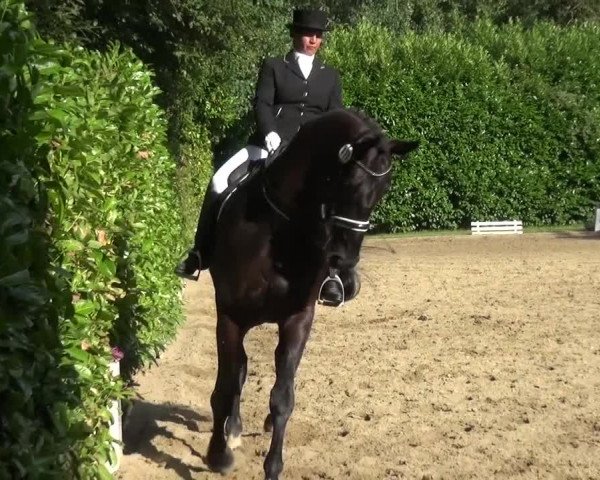 Reitturnier Viersen-Dülken 2015