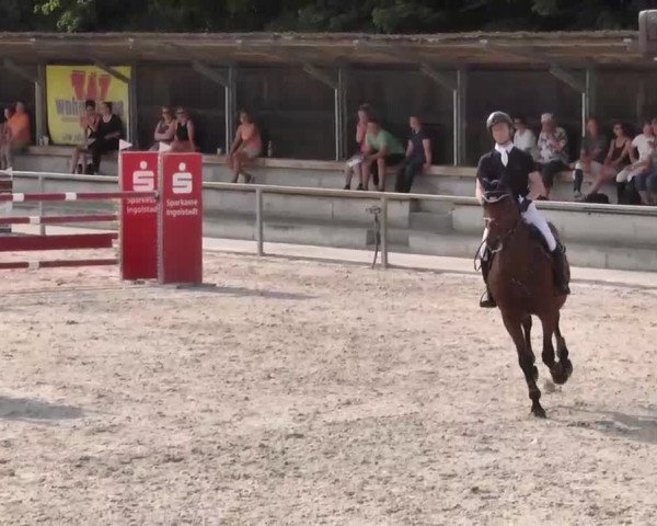 Reitturnier Ingolstadt-Hagau 2015