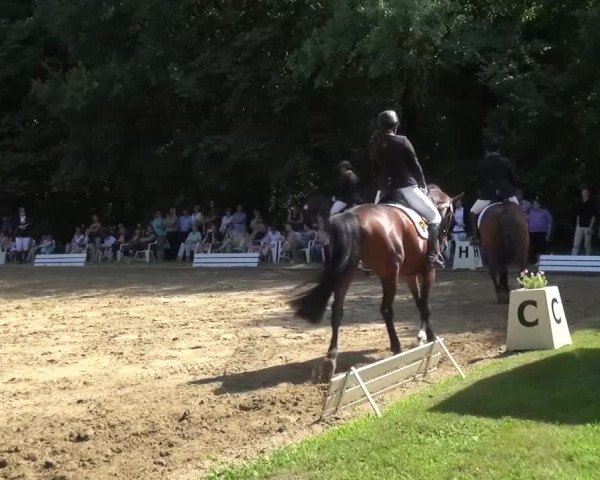 Reitturnier Viersen-Dülken 2015