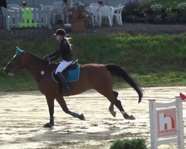 Reitturnier Viersen-Dülken 2015