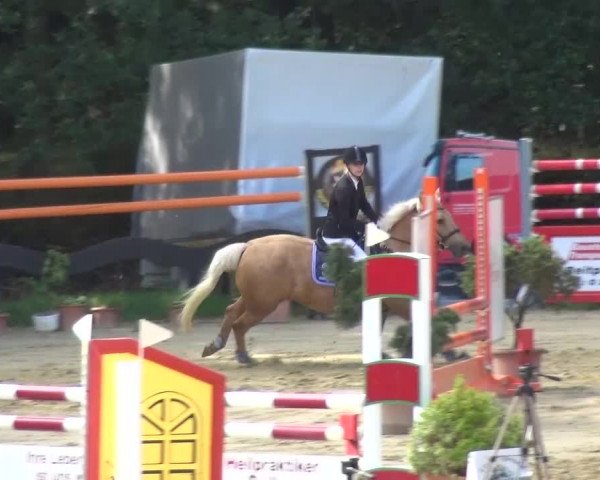 Reitturnier Viersen-Dülken 2015