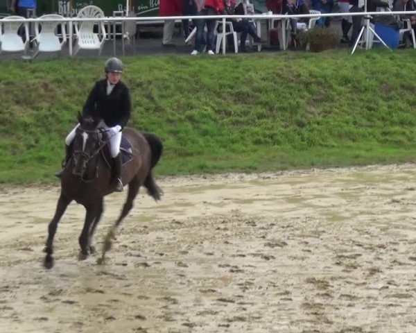 Reitturnier Viersen-Dülken 2015