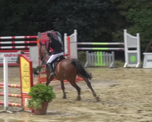 Reitturnier Viersen-Dülken 2015