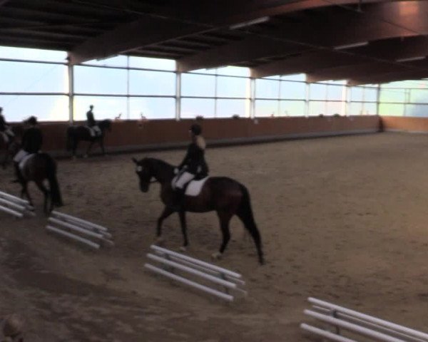 Reitturnier Herbern 2015