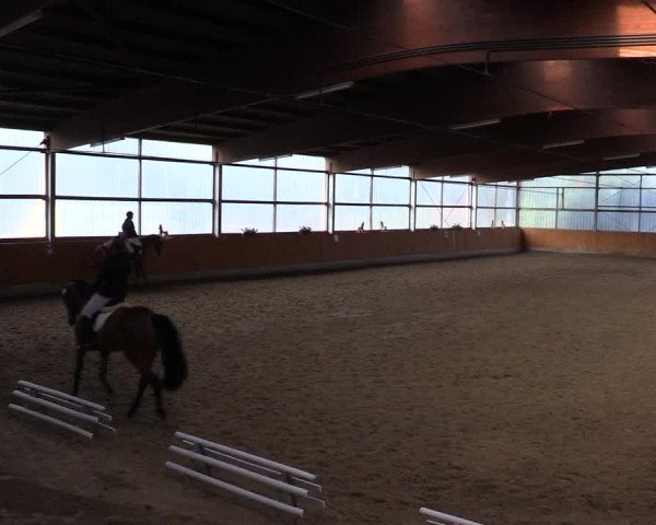 Reitturnier Herbern 2015