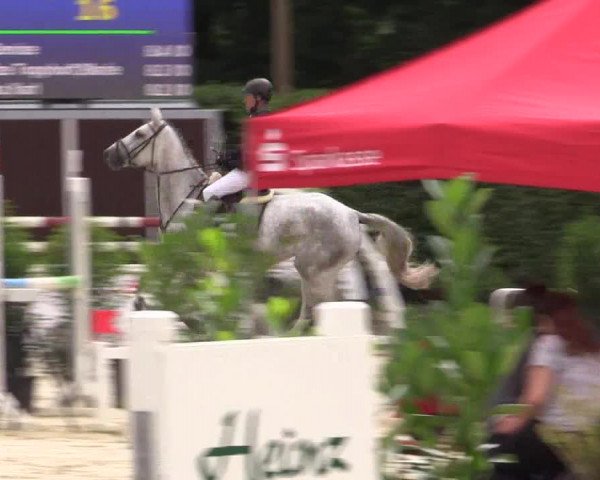 Vinnumer Reitertage 2015