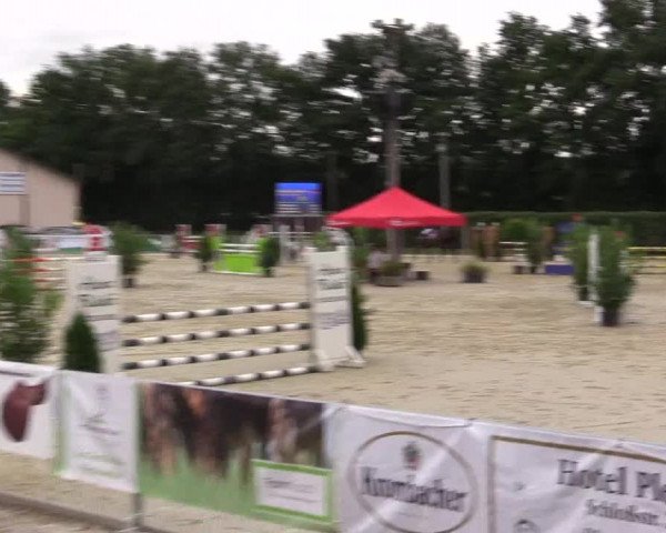 Vinnumer Reitertage 2015