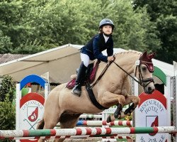 Springpferd Hesselteichs Golden Money (Deutsches Reitpony, 2012, von Golden Atreju)