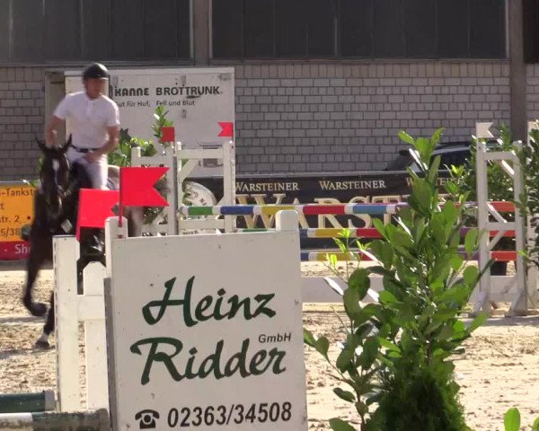 Vinnumer Reitertage 2015