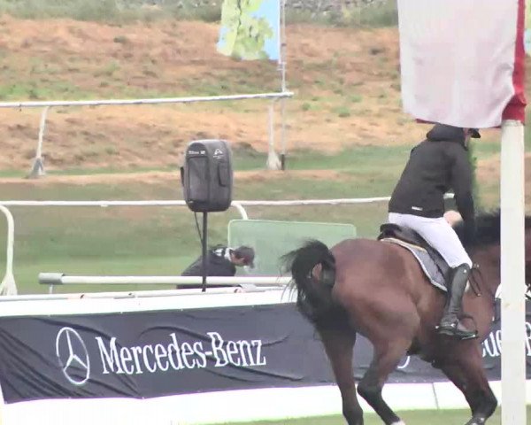 55. Süddeutsche Championate - Scharlachrennen 2015