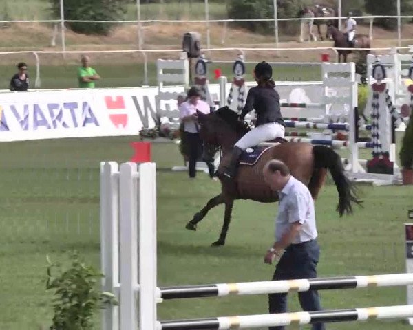 55. Süddeutsche Championate - Scharlachrennen 2015