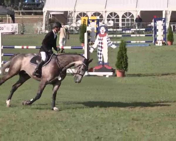 55. Süddeutsche Championate - Scharlachrennen 2015