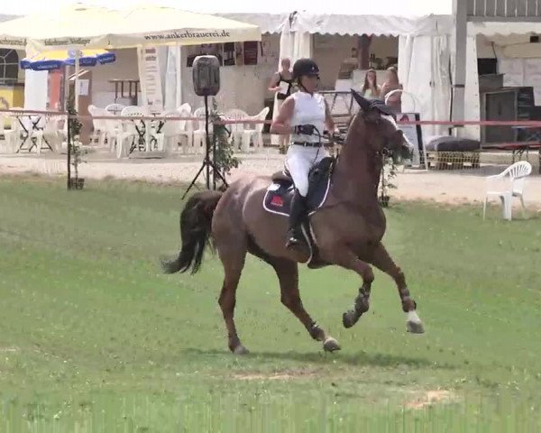 55. Süddeutsche Championate - Scharlachrennen 2015