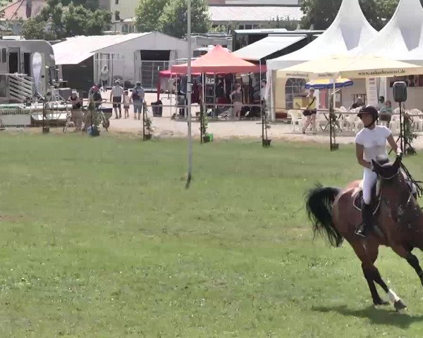 55. Süddeutsche Championate - Scharlachrennen 2015