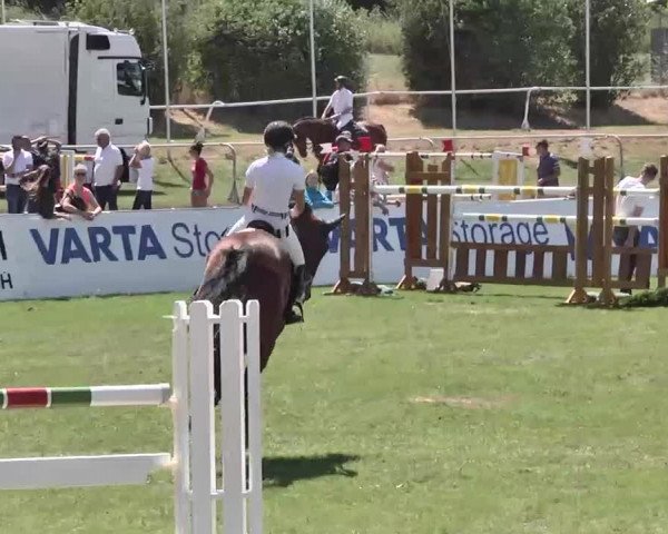 55. Süddeutsche Championate - Scharlachrennen 2015