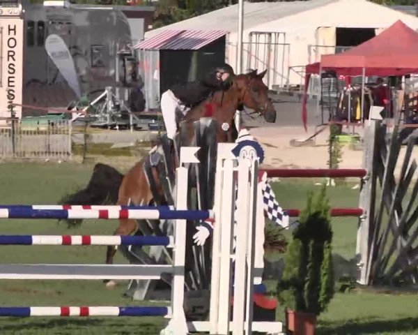 55. Süddeutsche Championate - Scharlachrennen 2015