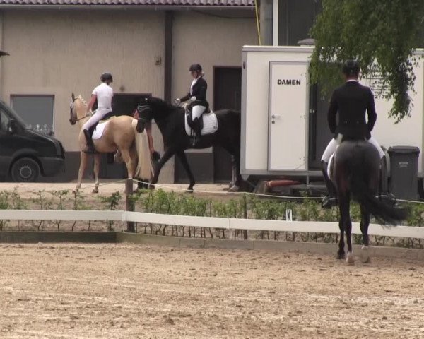 Vinnumer Reitertage 2015