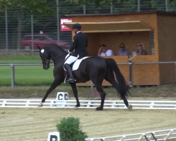 Reitturnier Schwanheim 2015