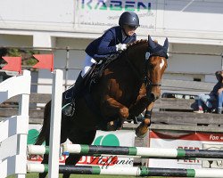 Pferd Petit Matrix (Deutsches Reitpony, 2003, von Mac Geyver)