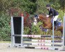 dressage horse Filou van de Wistonahoeve (German Warmblood, 2005)