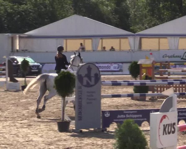 62. Lobbericher Reitsportfestival 2015