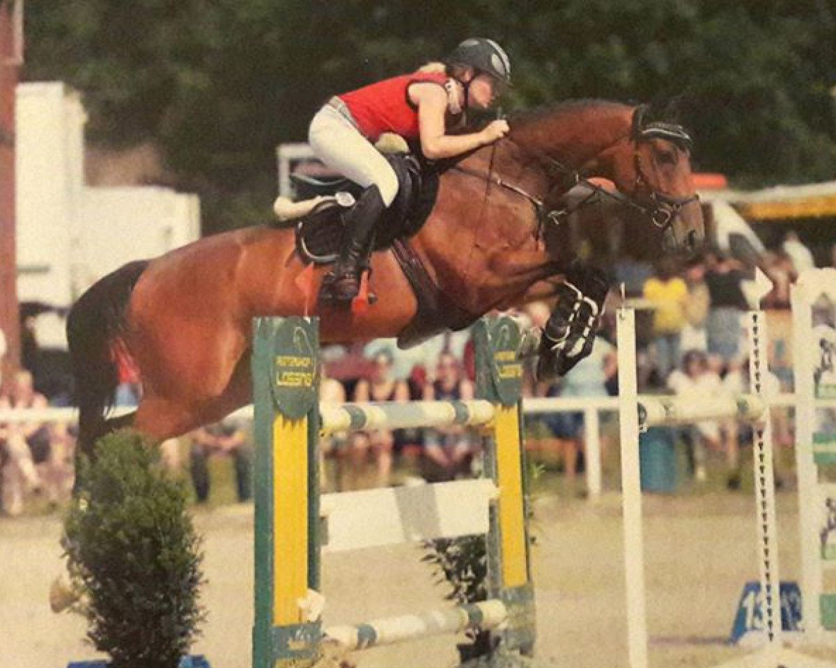 Springpferd Spardoctro (KWPN (Niederländisches Warmblut), 2011, von Spartacus TN)