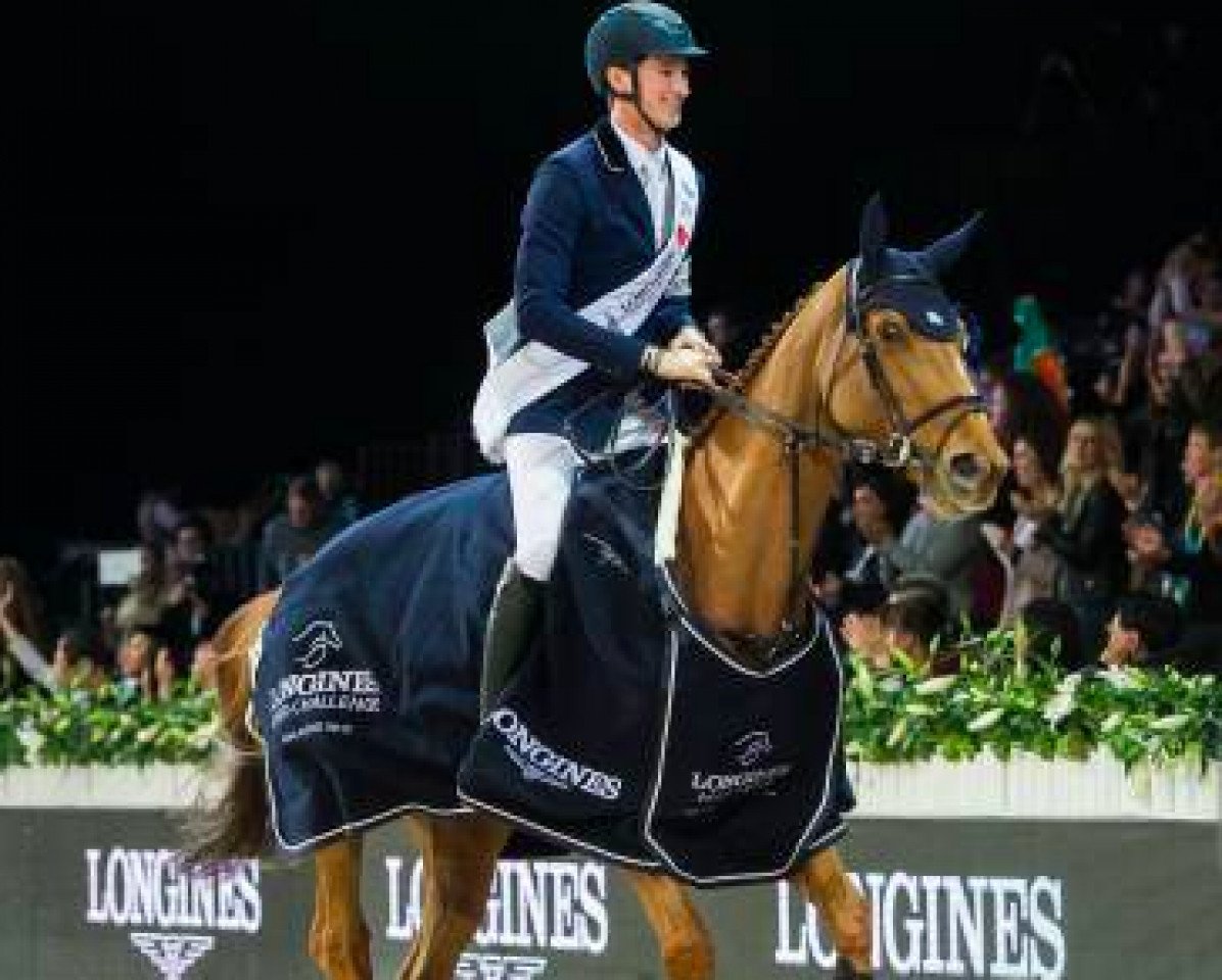 broodmare Happiness van T Paradijs (Belgian Warmblood, 2007, from Obourg) broodmare Happiness van T Paradijs (Belgian Warmblood, 2007, from Obourg)