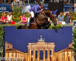 jumper Izzy by Picobello (Belgian Warmblood, 2008, from Cicero Z van Paemel)