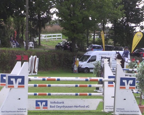 Reitturnier Vlotho-Exter 2015