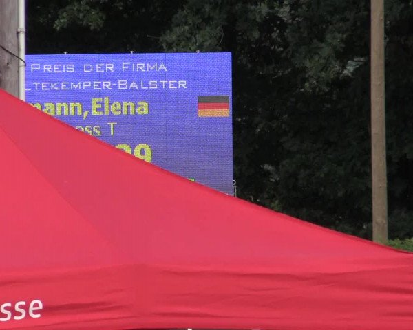 Vinnumer Reitertage 2015