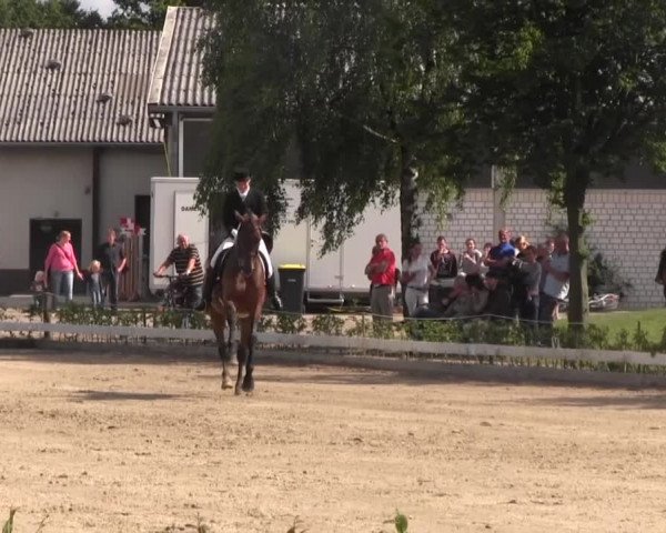 Vinnumer Reitertage 2015