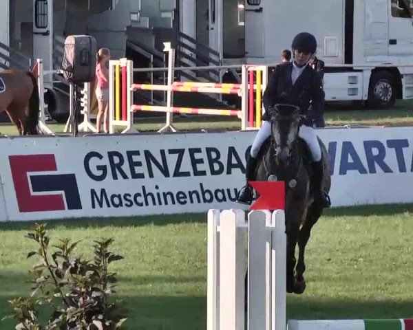 55. Süddeutsche Championate - Scharlachrennen 2015