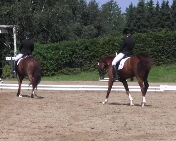 Reitturnier Vlotho-Exter 2015