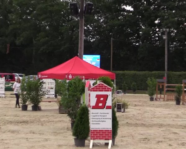 Vinnumer Reitertage 2015