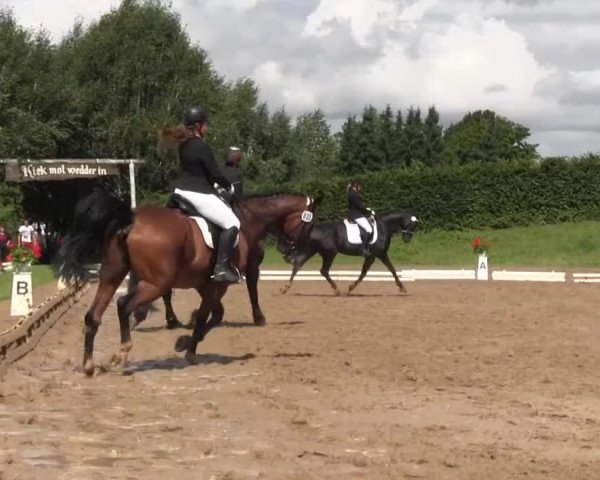 Reitturnier Vlotho-Exter 2015