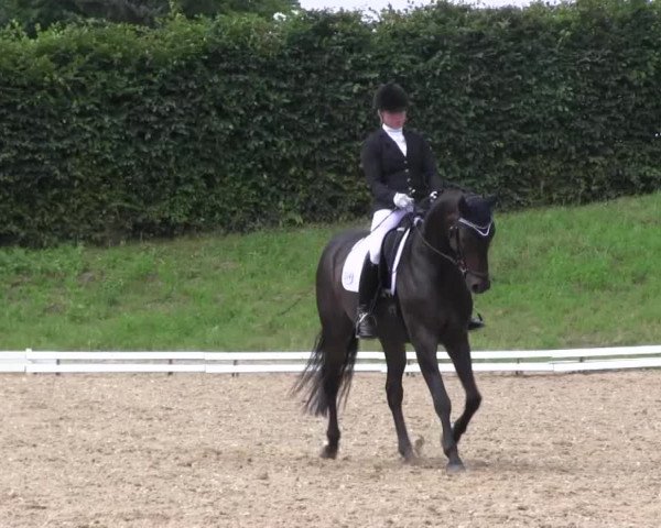 Reitturnier Vlotho-Exter 2015