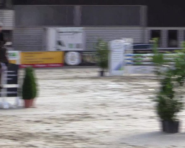 Vinnumer Reitertage 2015
