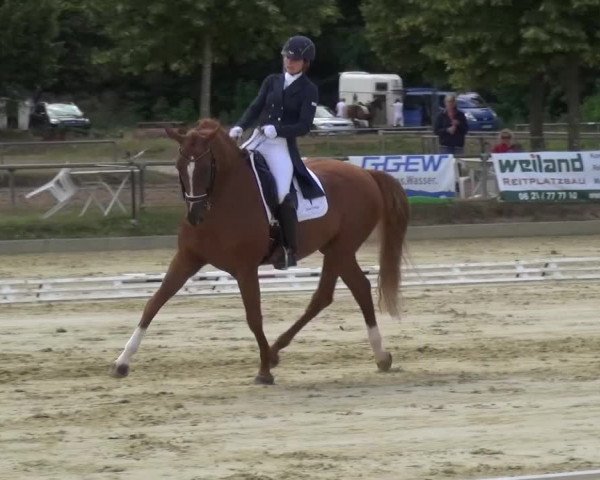 Reitturnier Schwanheim 2015
