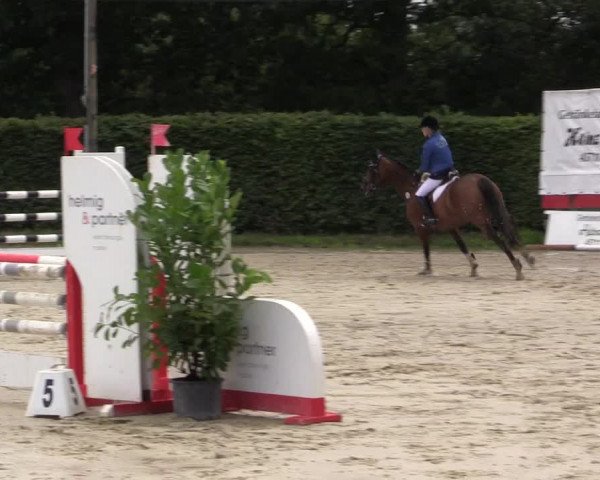 Vinnumer Reitertage 2015