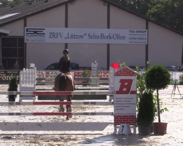 Vinnumer Reitertage 2015